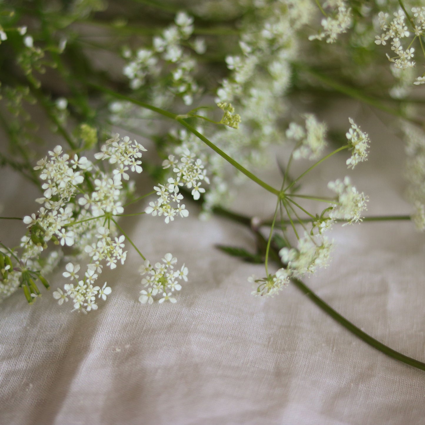Wildflower Meadow Candle