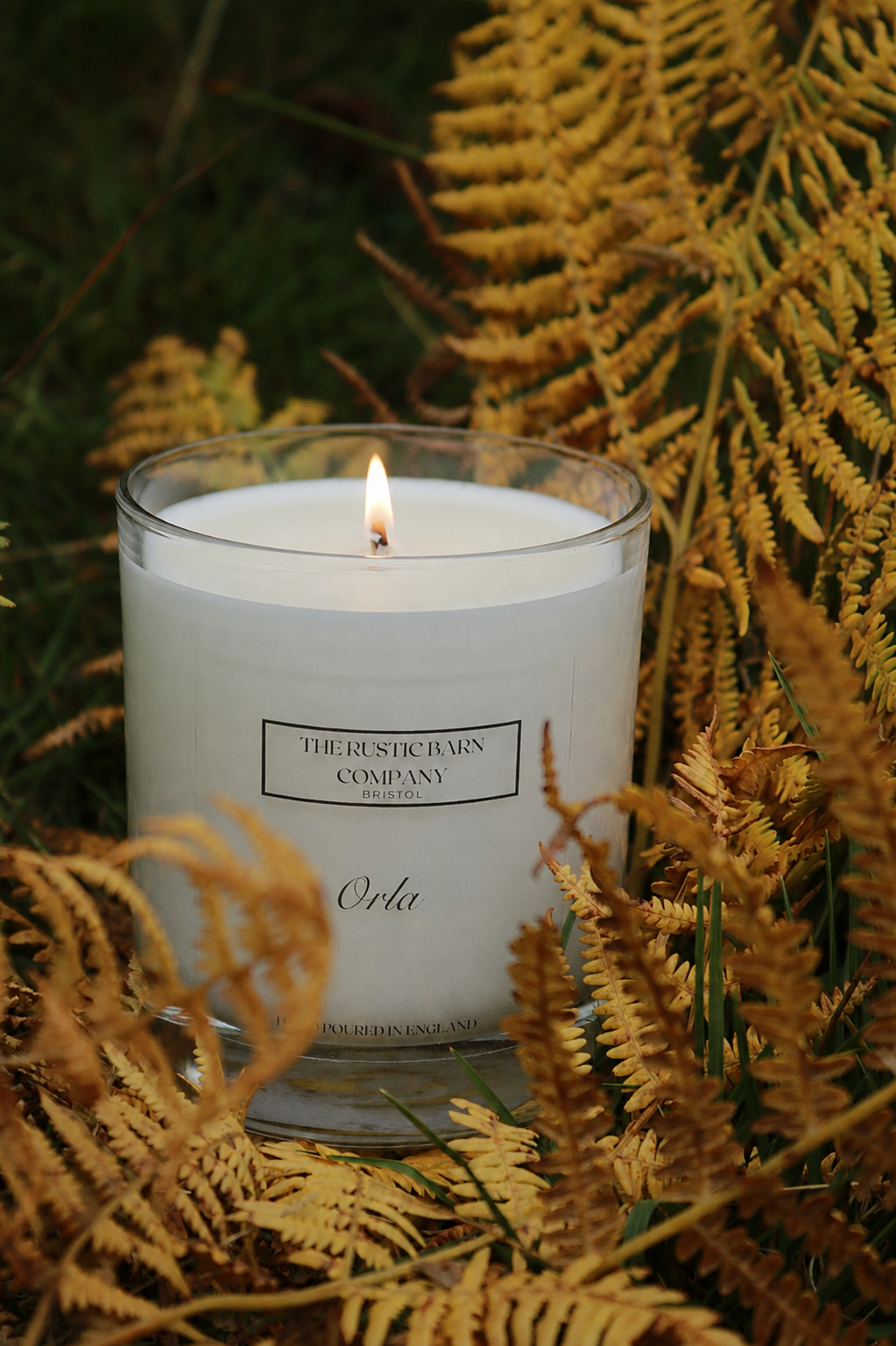 Orla autumn signature candle nestled amongst golden ferns"