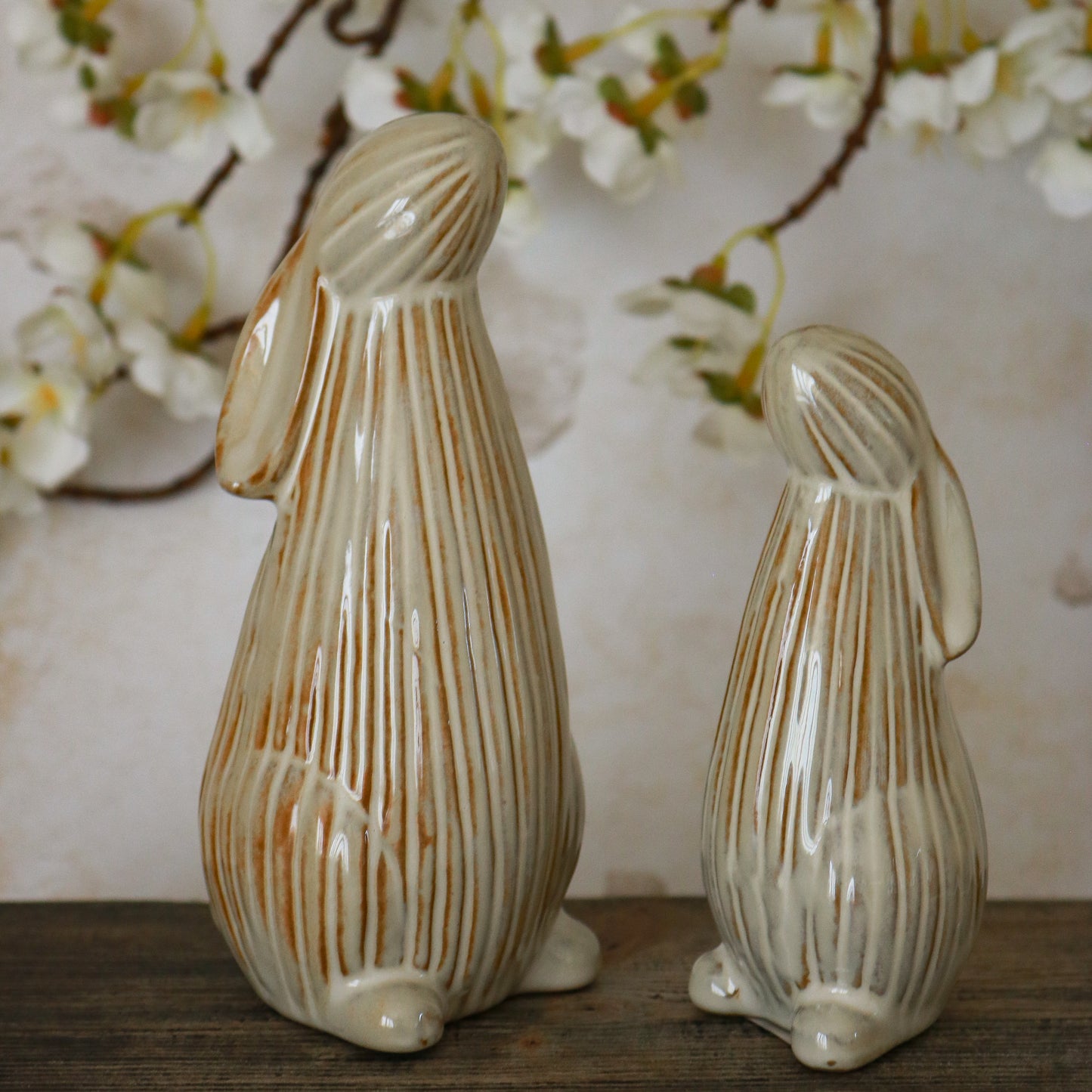 Star Gazing Ribbed Bunny