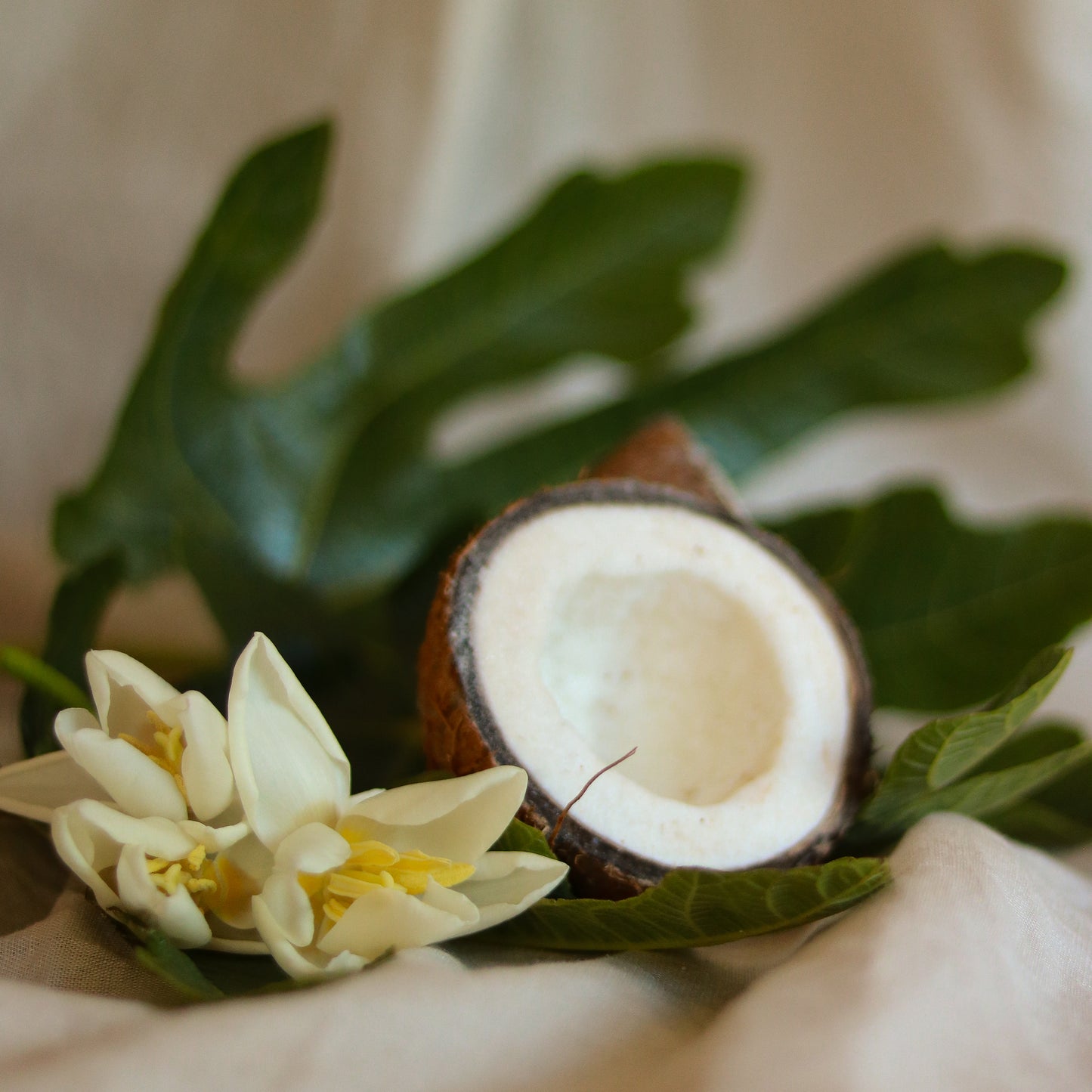 Lucia Luxury Scented Candle