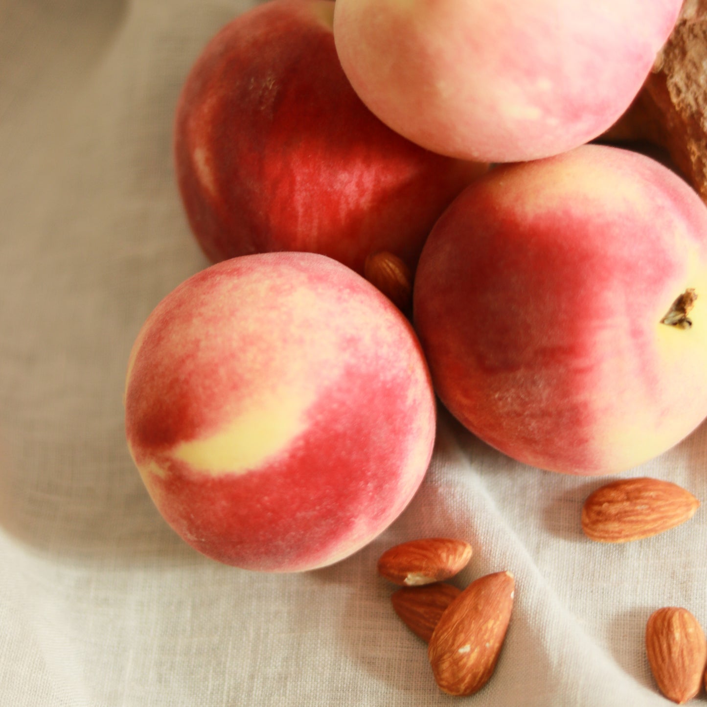 Sundrenched Peach Candle | 220g