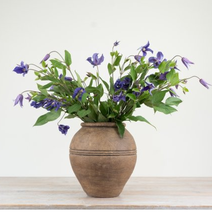 Rustic brown vase filled with purple flowers and green foliage against a plain background